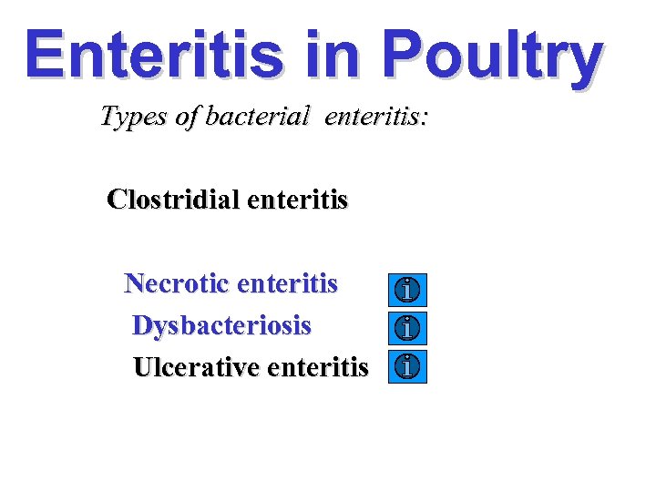 Enteritis in Poultry Types of bacterial enteritis: Clostridial enteritis Necrotic enteritis Dysbacteriosis Ulcerative enteritis