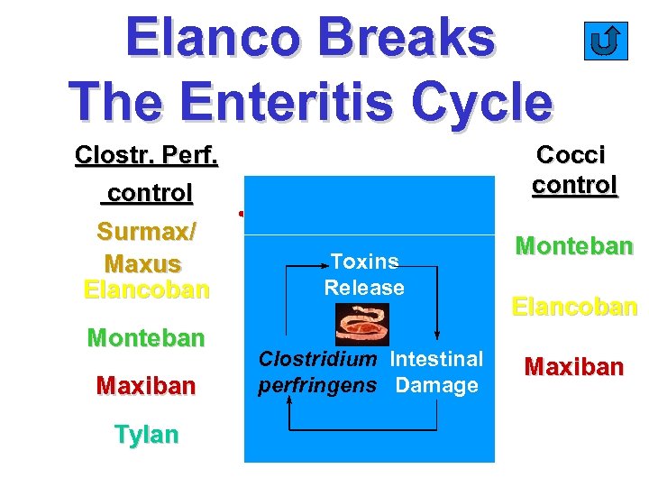 Elanco Breaks The Enteritis Cycle Clostr. Perf. control Surmax/ Maxus Elancoban Monteban Maxiban Tylan