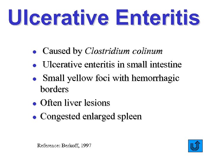 Ulcerative Enteritis l l l Caused by Clostridium colinum Ulcerative enteritis in small intestine