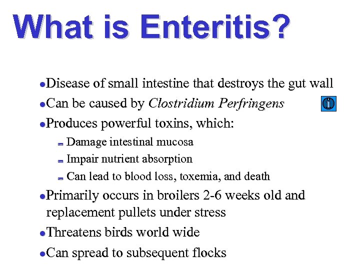 What is Enteritis? Disease of small intestine that destroys the gut wall l. Can