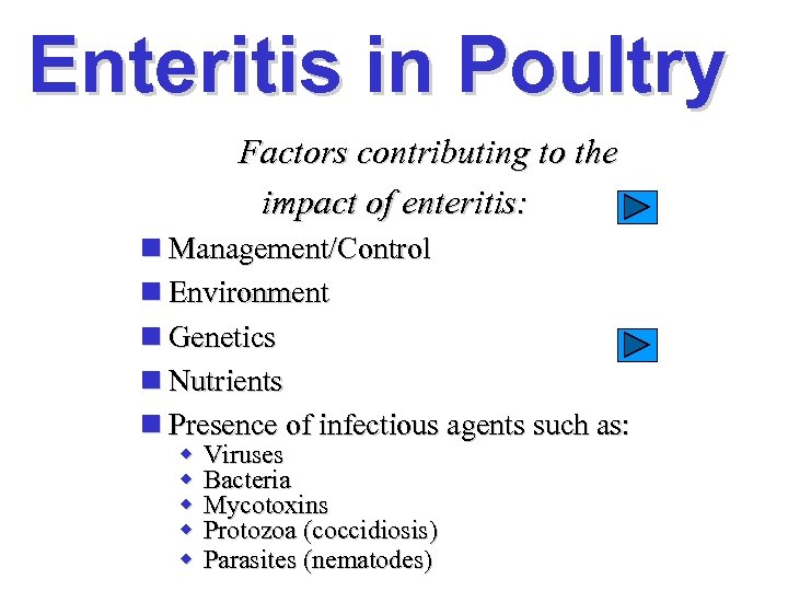 Enteritis in Poultry Factors contributing to the impact of enteritis: n Management/Control n Environment