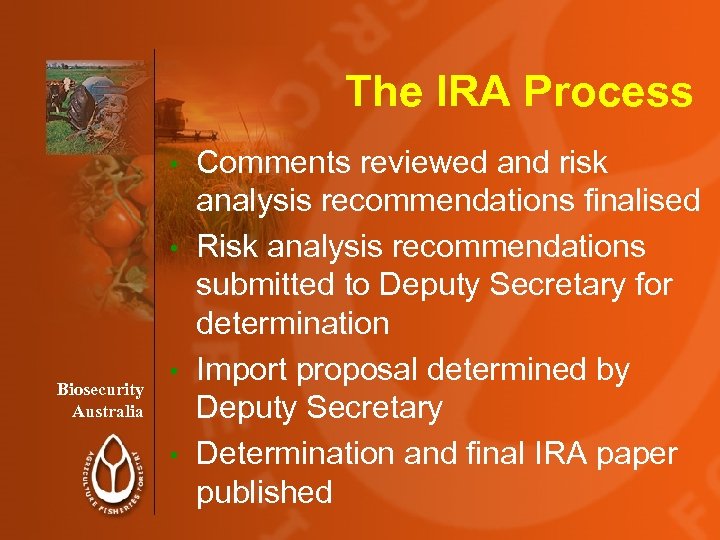 The IRA Process Comments reviewed and risk analysis recommendations finalised • Risk analysis recommendations