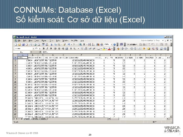 CONNUMs: Database (Excel) Số kiểm soát: Cơ sở dữ liệu (Excel) Winston & Strawn