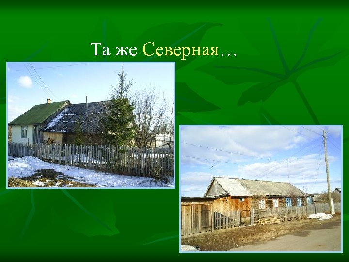 Та же Северная… 