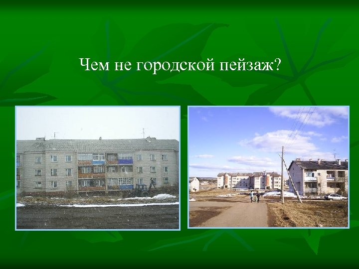 Чем не городской пейзаж? 