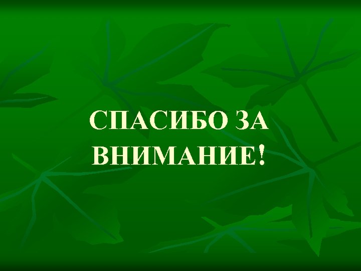СПАСИБО ЗА ВНИМАНИЕ! 