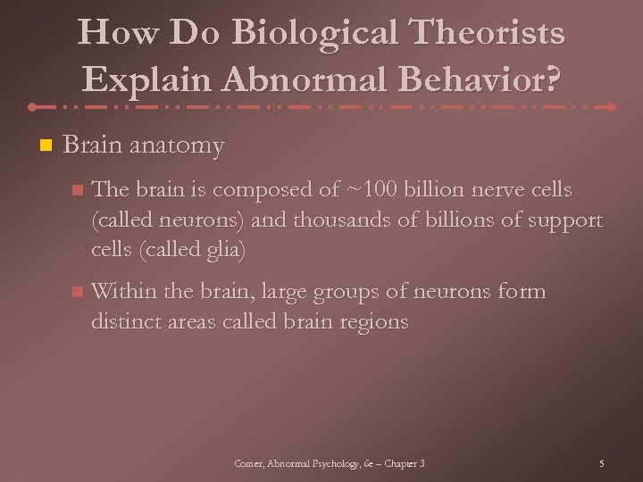 How Do Biological Theorists Explain Abnormal Behavior? n Brain anatomy n The brain is