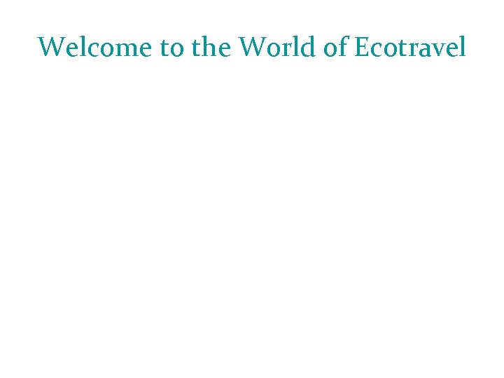 Welcome to the World of Ecotravel 