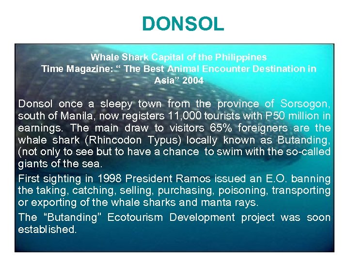 DONSOL Whale Shark Capital of the Philippines Time Magazine: “ The Best Animal Encounter