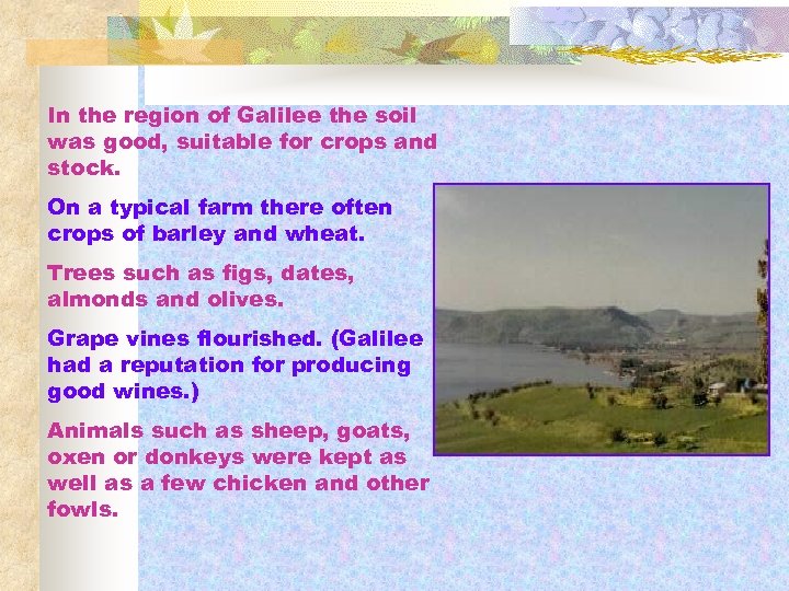 In the region of Galilee the soil was good, suitable for crops and stock.