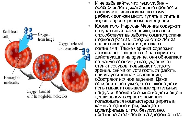  • • И не забывайте, что гемоглобин – обеспечивает дыхательные процессы организма кислородом,