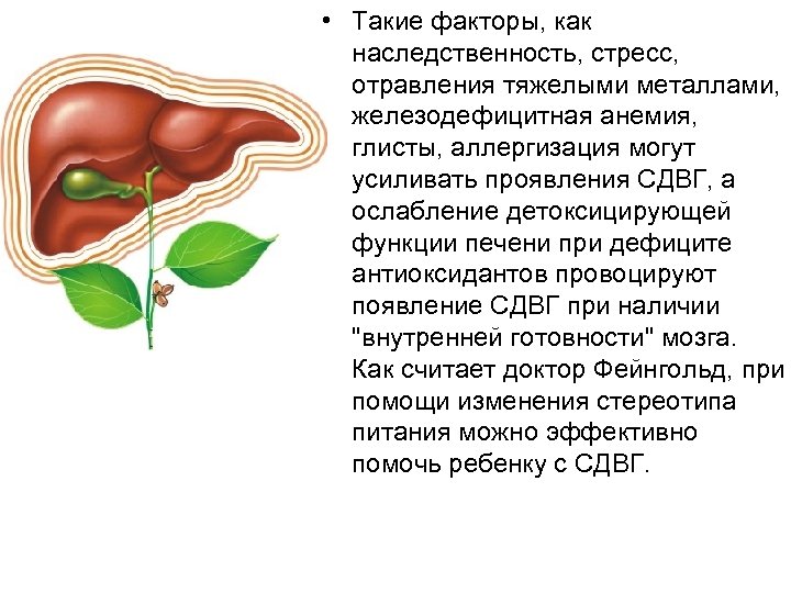  • Такие факторы, как наследственность, стресс, отравления тяжелыми металлами, железодефицитная анемия, глисты, аллергизация