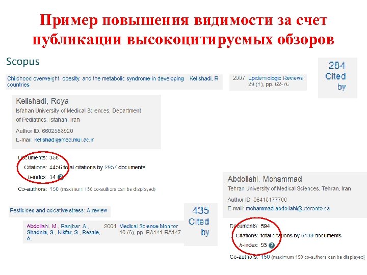 Пример повышения видимости за счет публикации высокоцитируемых обзоров 