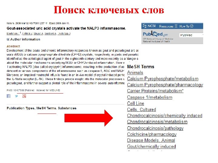 Поиск ключевых слов 