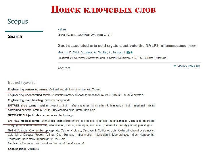 Поиск ключевых слов 