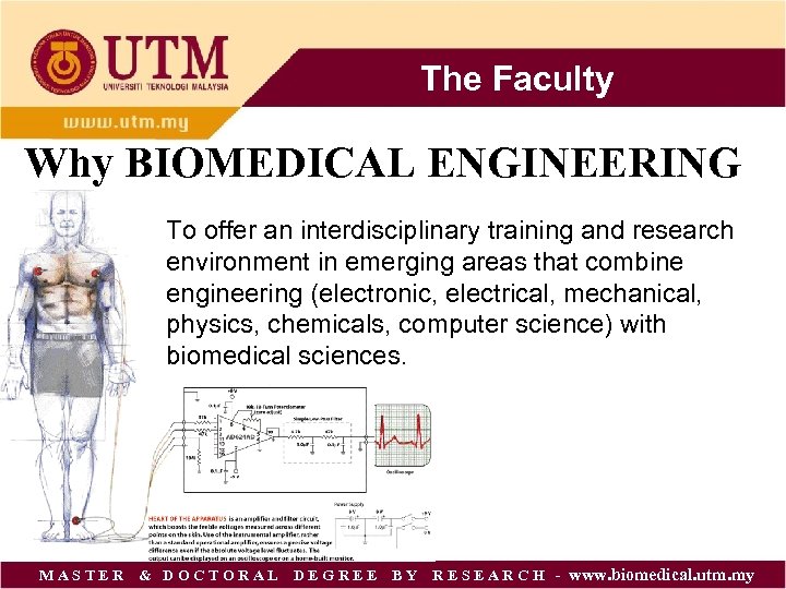The Faculty Why BIOMEDICAL ENGINEERING To offer an interdisciplinary training and research environment in