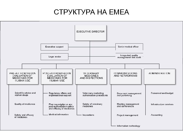 СТРУКТУРА НА EMEA 