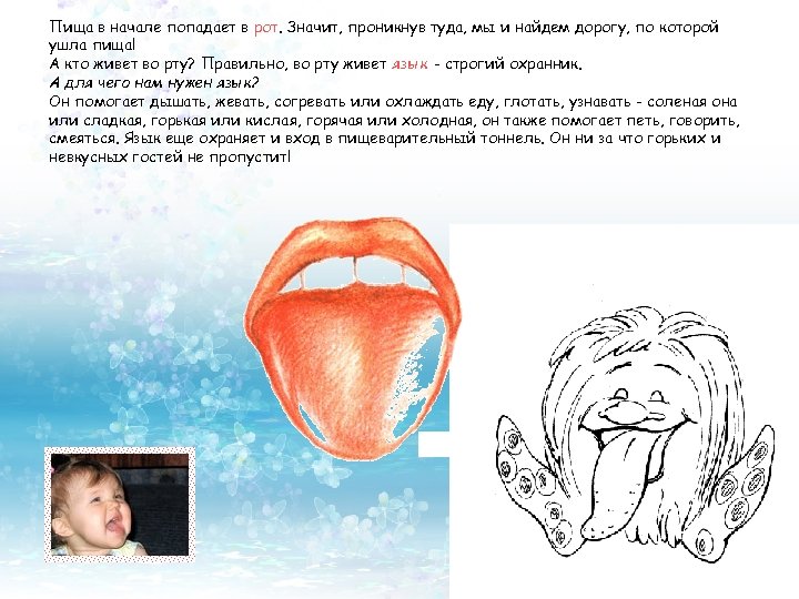 Пища в начале попадает в рот. Значит, проникнув туда, мы и найдем дорогу, по