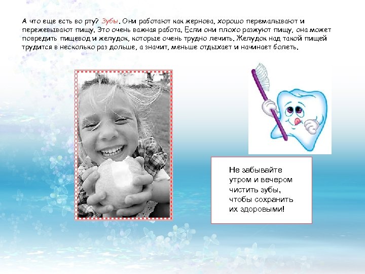 А что еще есть во рту? Зубы. Они работают как жернова, хорошо перемалывают и