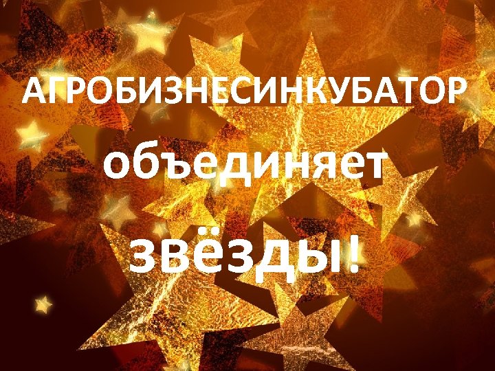 АГРОБИЗНЕСИНКУБАТОР объединяет звёзды! 