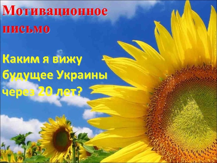 Мотивационное письмо Каким я вижу будущее Украины через 20 лет? 
