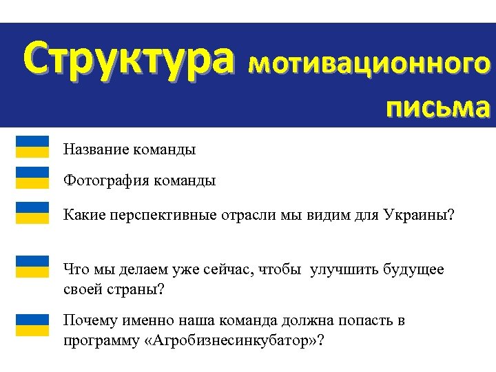 Структура мотивационного письма Название команды Фотография команды Какие перспективные отрасли мы видим для Украины?