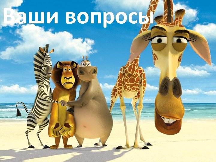 Ваши вопросы 