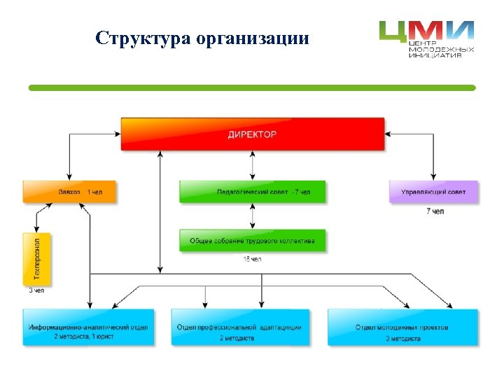 Структура организации 