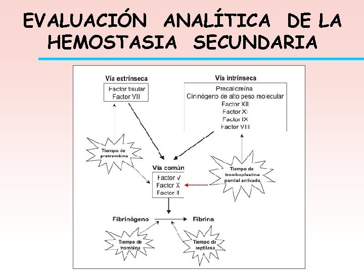 EVALUACIÓN ANALÍTICA DE LA HEMOSTASIA SECUNDARIA 