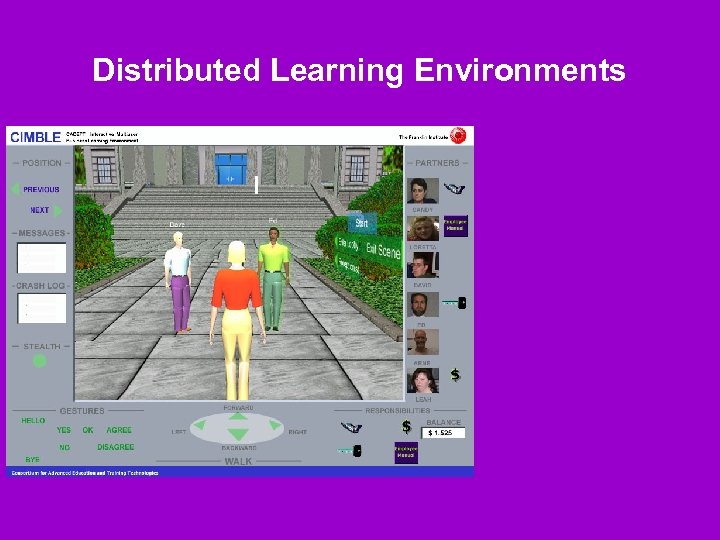 Distributed Learning Environments 