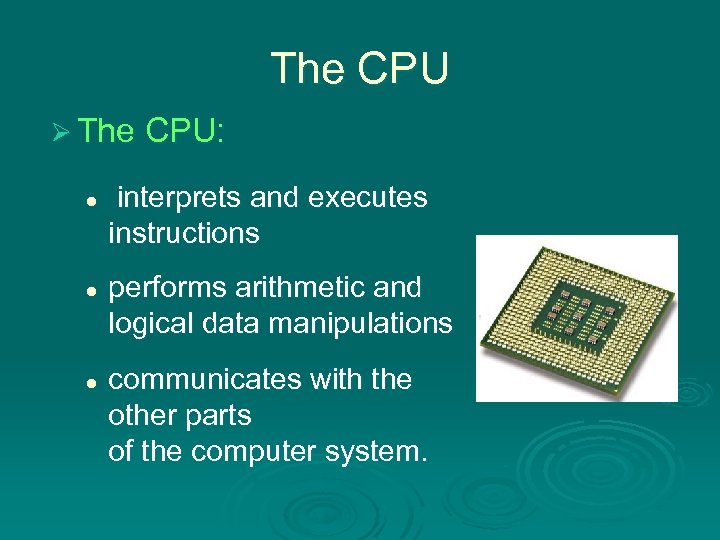 The CPU Ø The CPU: l l l interprets and executes instructions performs arithmetic