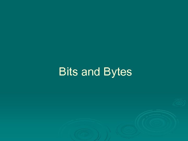 Bits and Bytes 