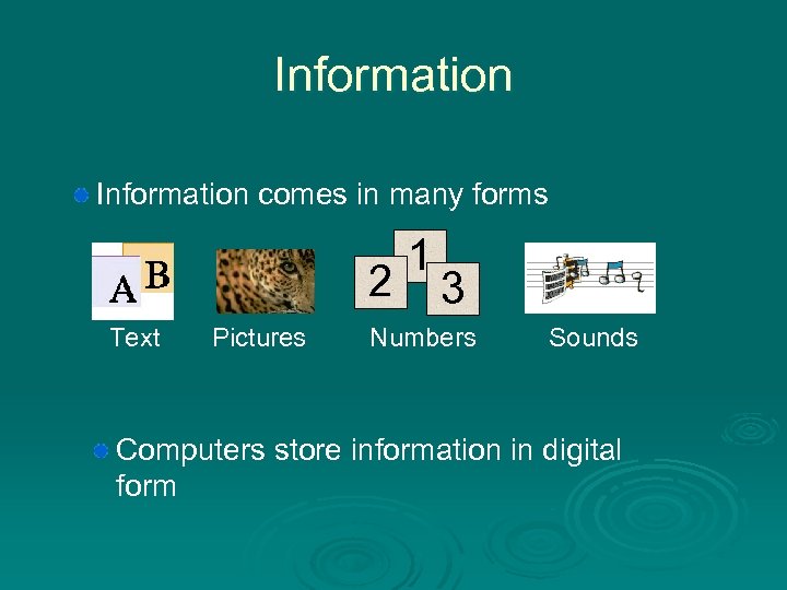 Information comes in many forms 2 Text Pictures 1 3 Numbers Sounds Computers store