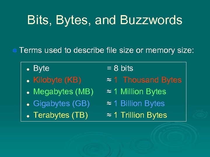 Bits, Bytes, and Buzzwords Terms used to describe file size or memory size: l