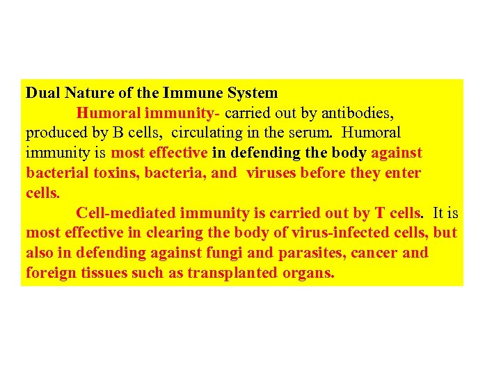 Dual Nature of the Immune System Humoral immunity- carried out by antibodies, produced by