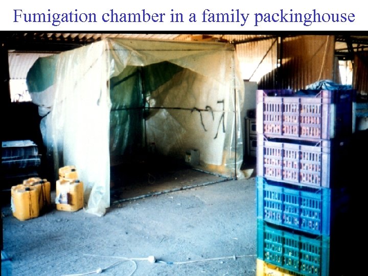 Fumigation chamber in a family packinghouse 