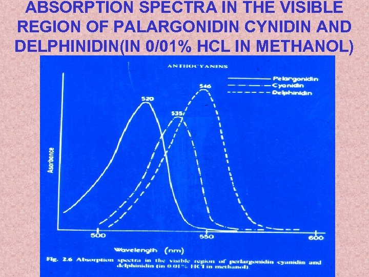 ABSORPTION SPECTRA IN THE VISIBLE REGION OF PALARGONIDIN CYNIDIN AND DELPHINIDIN(IN 0/01% HCL IN