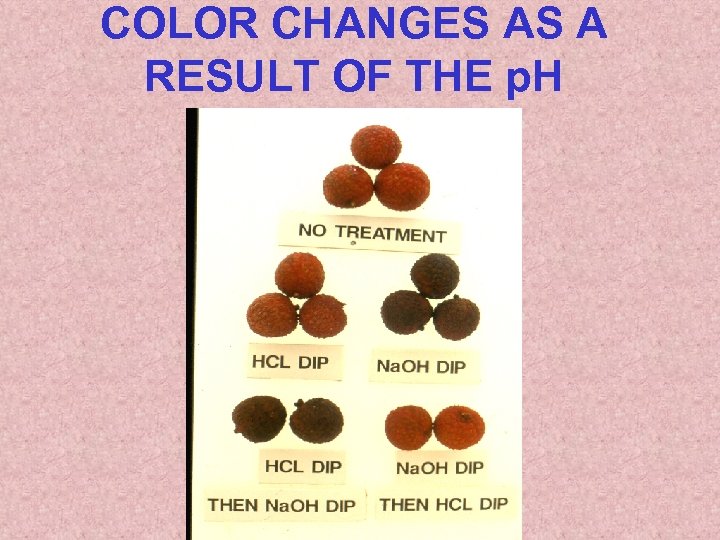 COLOR CHANGES AS A RESULT OF THE p. H 