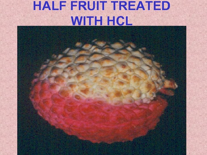 HALF FRUIT TREATED WITH HCL 