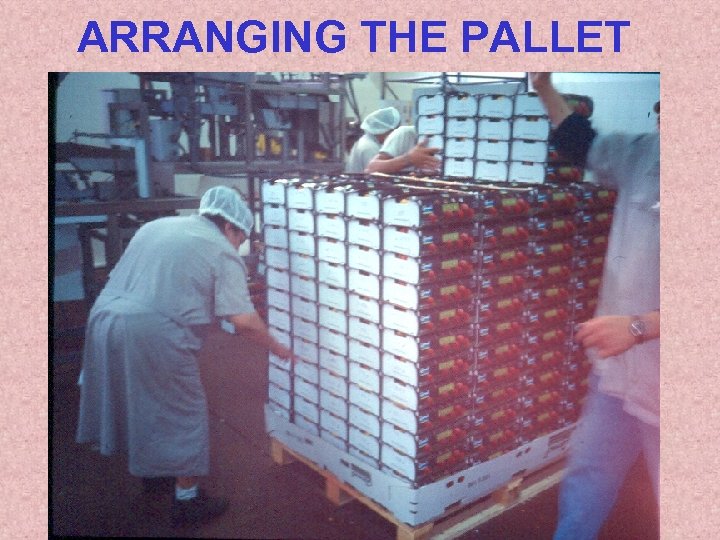 ARRANGING THE PALLET 