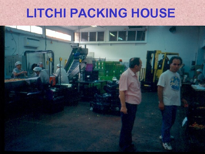 LITCHI PACKING HOUSE 