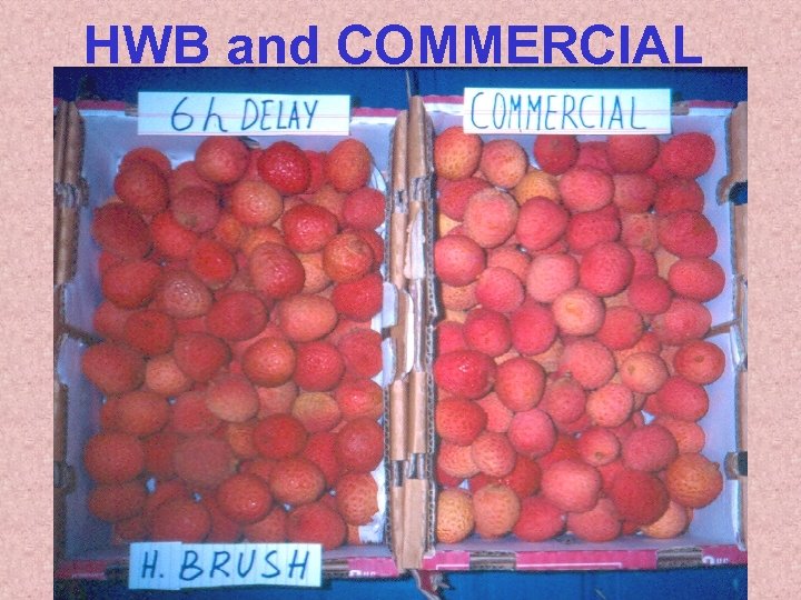 HWB and COMMERCIAL 