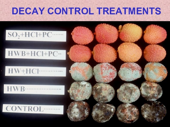 DECAY CONTROL TREATMENTS 