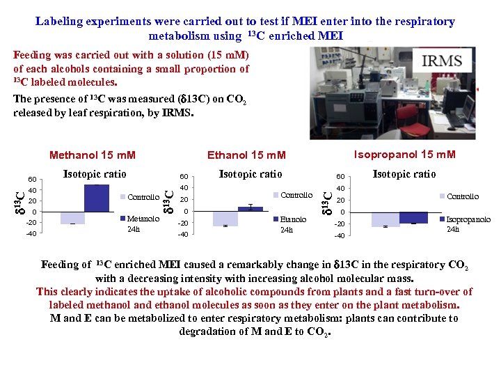 Labeling experiments were carried out to test if MEI enter into the respiratory metabolism