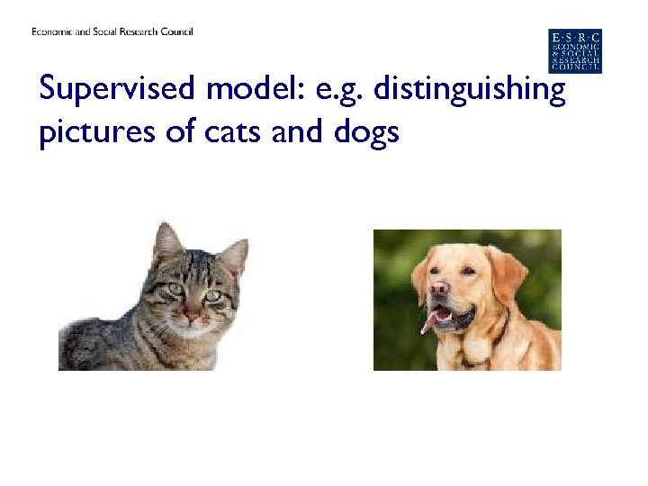 Supervised model: e. g. distinguishing pictures of cats and dogs 