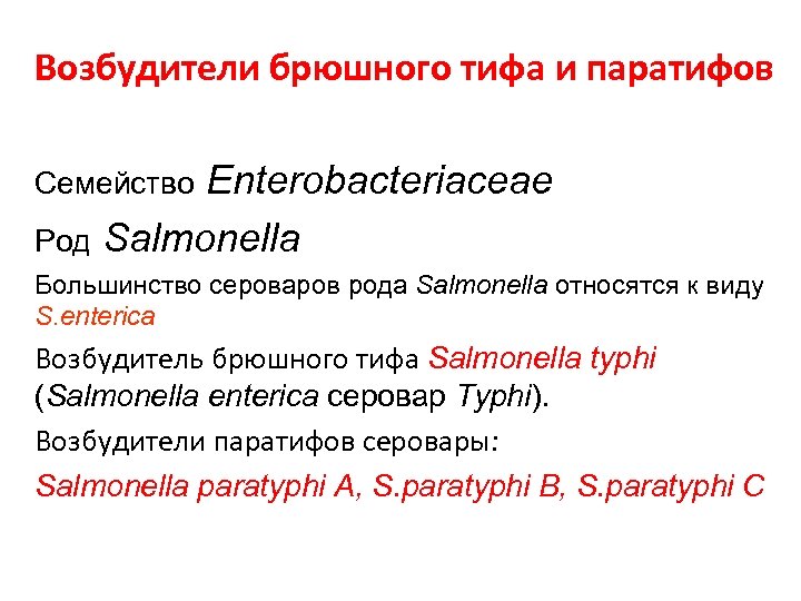 Возбудители брюшного тифа и паратифов Enterobacteriaceae Род Salmonella Семейство Большинство сероваров рода Salmonella относятся