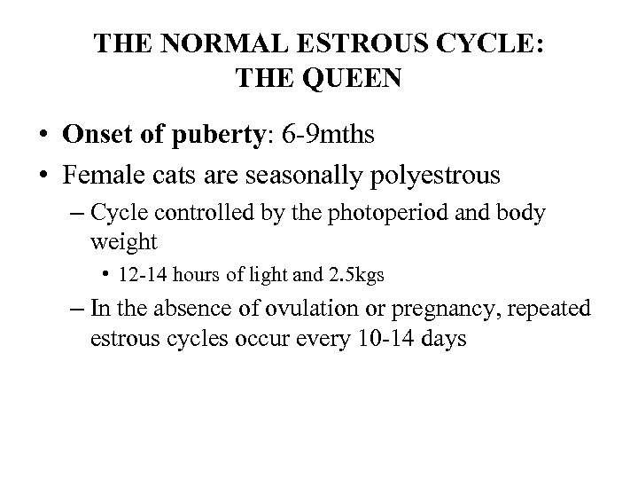 THE NORMAL ESTROUS CYCLE: THE QUEEN • Onset of puberty: 6 -9 mths •