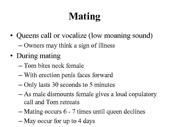 Mating • Queens call or vocalize (low moaning sound) – Owners may think a