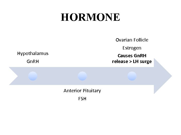 HORMONE Ovarian Follicle Estrogen Causes Gn. RH release > LH surge Hypothalamus Gn. RH