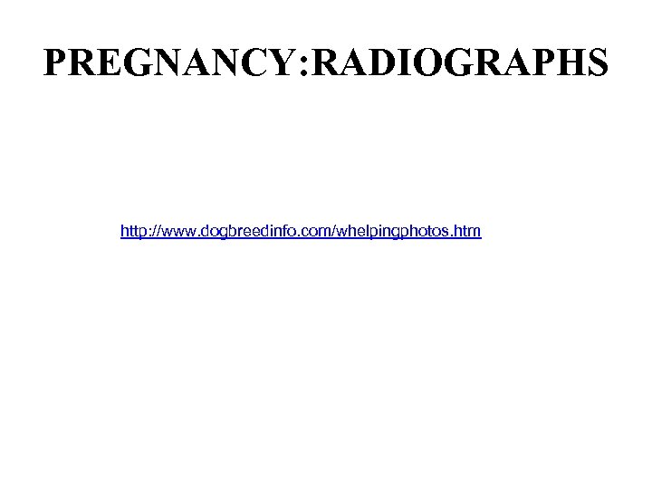 PREGNANCY: RADIOGRAPHS http: //www. dogbreedinfo. com/whelpingphotos. htm 